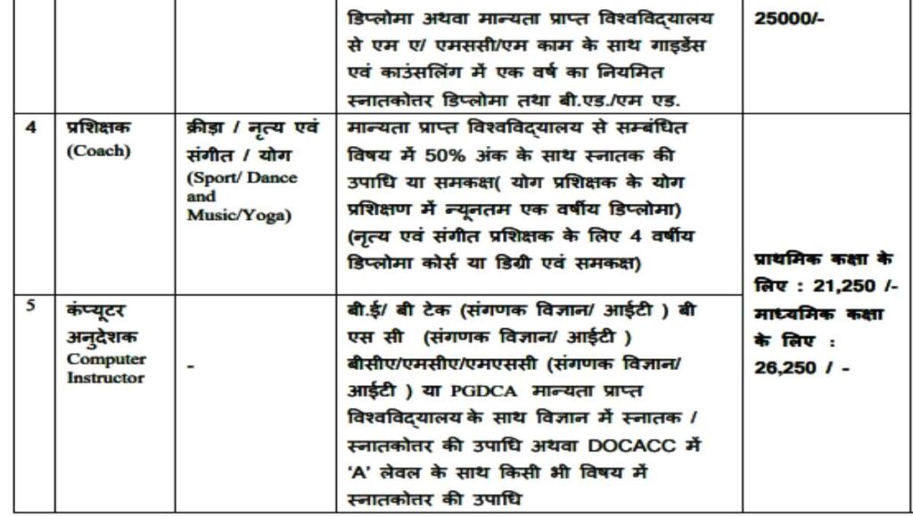 Raipur Computer Pass Job