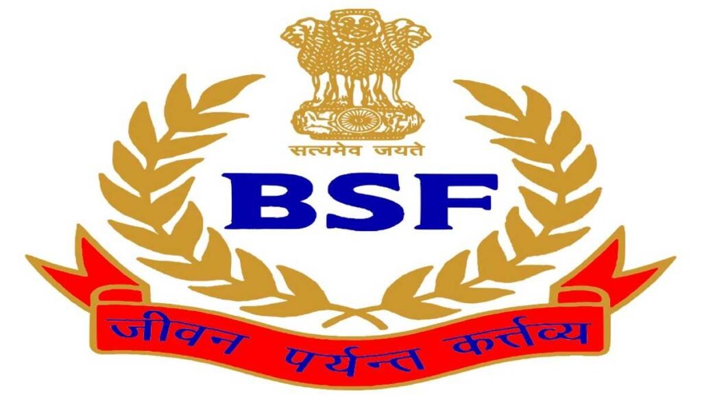 BSF Government Job